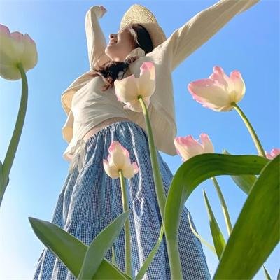 恐龙·怪鸟的传说